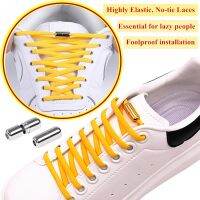 New No Tie Shoe Laces Spandex Elastic Laces Sneakers Shoelaces Lazy Laces For Kids Adult Quick Metal Lock Shoelace Fit 99 Shoes