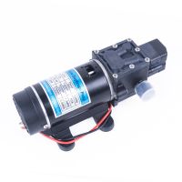 12V 24V 120W 130PSI 10L / Min Water High Pressure Diaphragm Self-priming Pump Sprayer Car Wash Ballon Diaphragm Pump