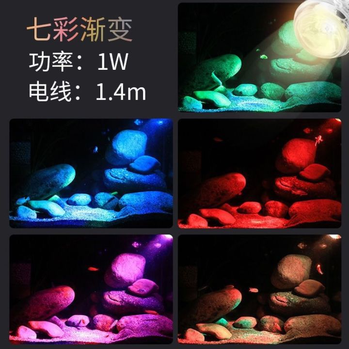 cod-diving-aquarium-colorful-color-changing-night-1w-south