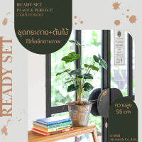 Homequarterbkk-Lively Set-Monstera ต้นมอนสเตอร่า ชุด เซท เซ็ทพร้อมโชว์ ของตกแต่งบ้าน ต้นไม้ปลอม พร้อมกระถางสังกะสีลายพลีท ราคาต่อ 1 ชุด