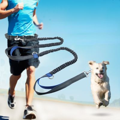 （PAPI PET）เข็มขัดหนังสุนัขกลางแจ้งวิ่งสะท้อนแสงคู่หดสุนัขเข็มขัดหนังสุนัขจูงหนังอุปกรณ์สัตว์เลี้ยงจูงสุนัข