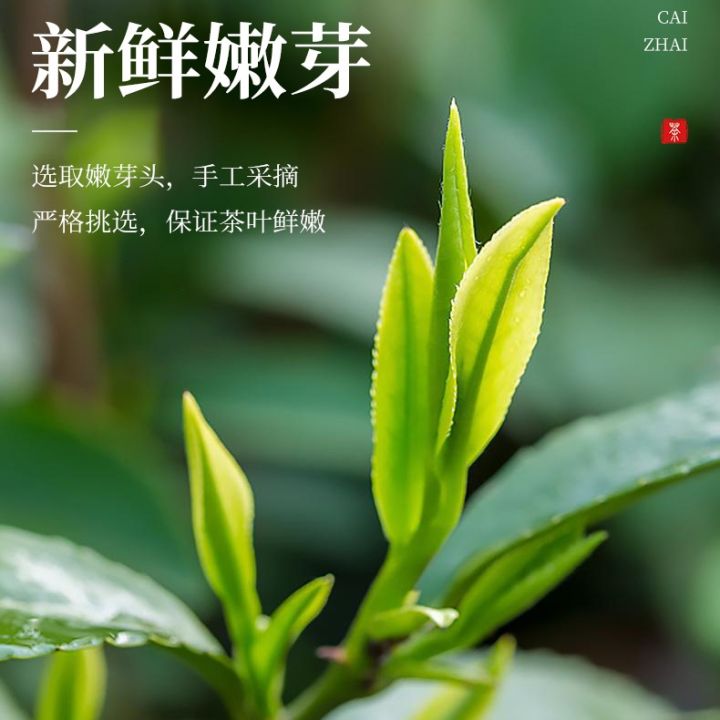 maojian-2023ชาชาเขียวใหม่ใบมิงเชียนต้นฤดูใบไม้ผลิชา-maojian-ชาเขียวชั้นหนึ่งขายส่ง250กรัม