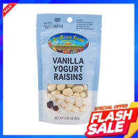 Sunridge Farms Yogurt Raisins 92g