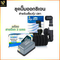 Air Pump ปั๊มลม ปั๊มออกซิเจน พร้อมกรองฟองน้ำ สำหรับเลี้ยงกุ้ง ปลา ปั้มอ๊อกซิเจน Oxygen Pump