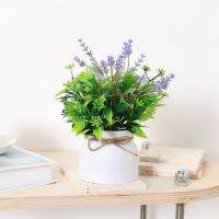 【CC】 1PC Decoration-Simulate Small Pot-23258P 4(9 2)