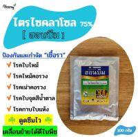 ไตรไซคลาโซล - ฮอนบีม 100 กรัม - ป้องกัน กำจัดเชื้อรา โรคใบไหม้ โรคไหม้คอรวง โรคเน่าคอรวง โรคใบจุด โรคกาบใบแห้ง