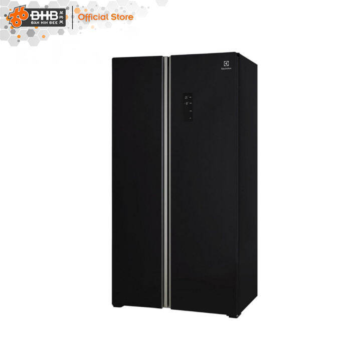 Electrolux ESE6201BG Side by Side Refrigerator 636L Nutri Fresh Lazada