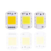 LED COB lamp Bead 20W 30W 50W AC 220V 240V IP65 Smart IC No Need Driver DIY Flood light Led Bulb Spotlight Outdoor Chip Lamp