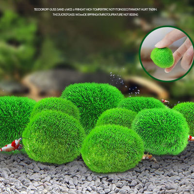 2-3ซม. Marimo Moss Balls Live Aquarium Plant Algae Fish Shrimp Tank Ornament