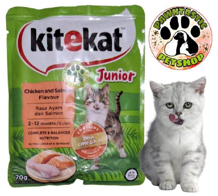 KiteKat Cat Wet Food 70g Kitten Chicken & Salmon Lazada PH