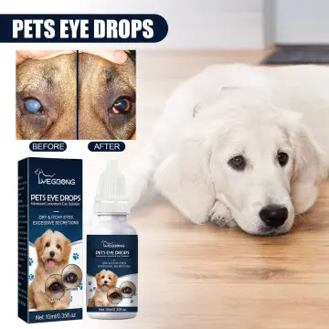 Lanomax eye drops for dogs sale