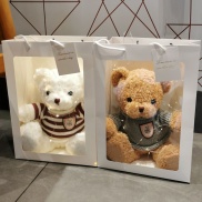 Gấu bông teddy cao 30cm Túi đựng quà Dây đèn dễ thương