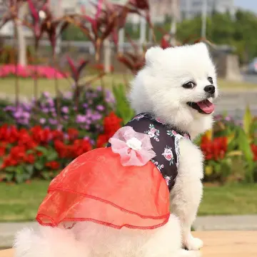 Sling Dress Dog Skirt Girls Cat Clothes Pet Supplies Princess Dress Cute  Sweet 