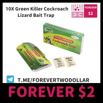 Controz Lizard Trap (6 Traps Special Deal)