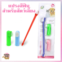 BJ Pet - แปรงสีฟันสำหรับสัตว์เลี้ยง แปรงสีฟันสัตว์เลี้ยง แปรงสีฟันหมา แปรงสีฟันแมว สำหรับสัตว์เลี้ยง