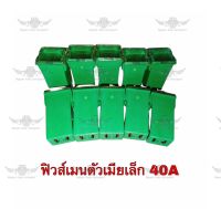 ฟิวส์เมนตัวเมียเล็ก 40 A