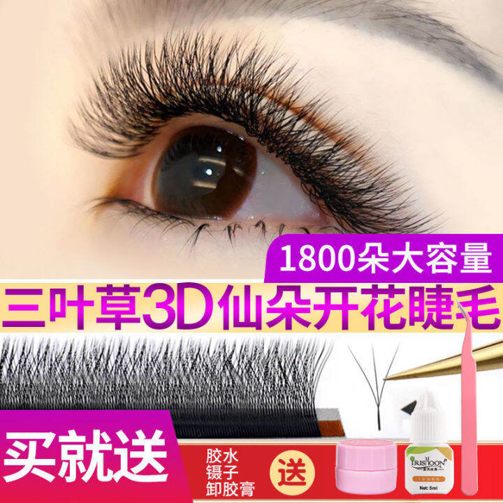 clover-ขนตาขนนุ่มไม่กระจายรากออกดอกต่อขนตา-3d-นางฟ้าขน-yy-ประเภทขนตา-yy-การปลูกขนตาปลอม