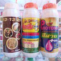 ชุดสั่งใหญ่ 13-13-21 + บิ๊กอะมิโน + สีสวย ใช้ระยะขยายผล ผลแข็งแรง ไม่หลุดร่วง ผลโตไว น้ำหนักดี รสชาติดี เข้าสีสวย ผิวสวย