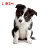 UJIOM 13cm X 8.6cm Border Collie Dog Anime Decal Vinyl Decor Wall Sticker Self-adhesive Children Bedroom Illustration Decoration Wall Stickers Decals