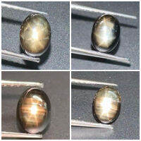 ธรรมชาติสีดำดาวไพลินวงรีเจียรหลังเบี้ยหลวมอัญมณี Natural Black Star Sapphire Oval Cabochon Loose Gemstone