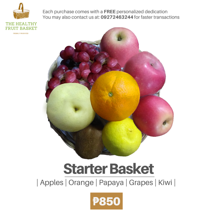 Fruit Basket Starter Basket Lazada PH
