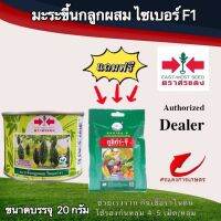 เมล็ดพันธุ์ มะระขี้นกไซเบอร์ 20g แถมกูซิก้าจีซองเล็ก