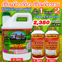 เซียนข้าวเขียว ซื้อ1แถม2 เซียนข้าวรวง ฮอร์โมนบำรุงข้าว ปุ๋ยฉีดข้าว ยาฉีดข้าว เร่งเขียวไว ใบเขียวเข้ม โตเร็ว เพิ่มน้ำหนักข้าว ฮอร์โมน