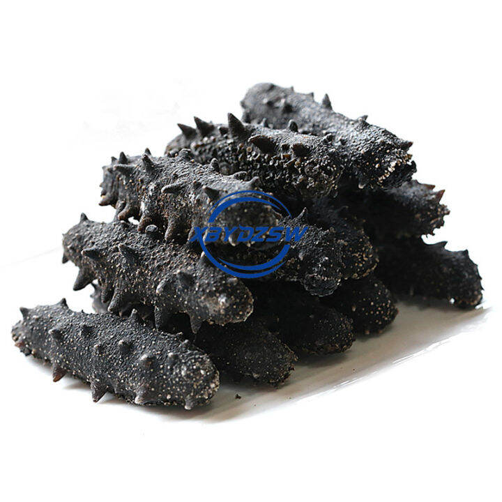 【JIAAIZE】【Fast delivery】Dalian Dried Sea Cucumber Small Sea Cucumber 5cm7cm Sea Cucumber