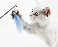 Telescopic Funny Cat Stick Long Rod Biting Cat ของเล่น Kitty อุปกรณ์ Kitty Kitten Bell Feather Replacement