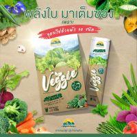 Wynn Farm Veggie วินฟาร์ม เวจจี ผงผัก สกัดจากผักรวม 30 ชนิด (1กล่อง/10ซอง)