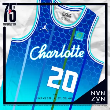 75th Anniversary Hayward #20 Charlotte Hornets White NBA Jersey