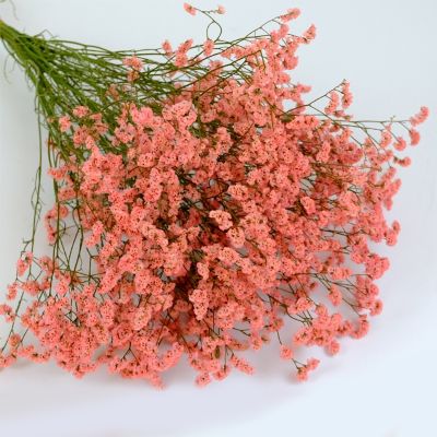 [AYIQ Flower Shop] ธรรมชาติคริสตัลหญ้านิรันดร์ชีวิตดอกไม้ BouquetsReal ตลอดไปแห้งคนรักหญ้าการจัดดอกไม้สำหรับบ้านตกแต่งงานแต่งงาน