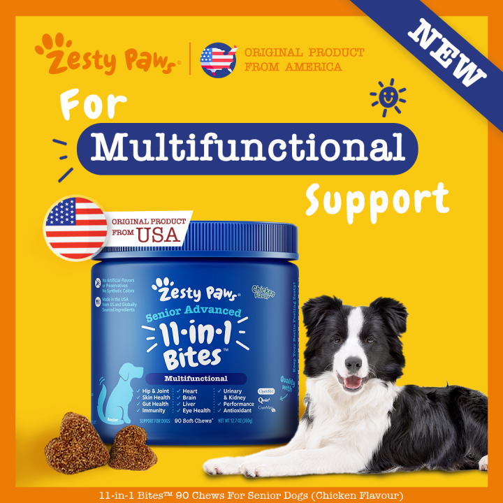 Zesty Paws Senior Advanced 11in1 Multivitamin Bites for Senior Dogs