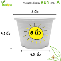 กระถางต้นไม้ 6 นิ้ว สีขาว กระถางพลาสติก กระถางบอนสี กระถางแคนตัส สีดำ 6 นิ้ว สีขาว สวย ราคาถูก จากโรงงาน