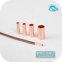 【cw】 10pcs/100pcs Copper wiring tube Terminal block Audio fever copper Crimp sleeve 2.5/3/4/6 mm 2 【hot】