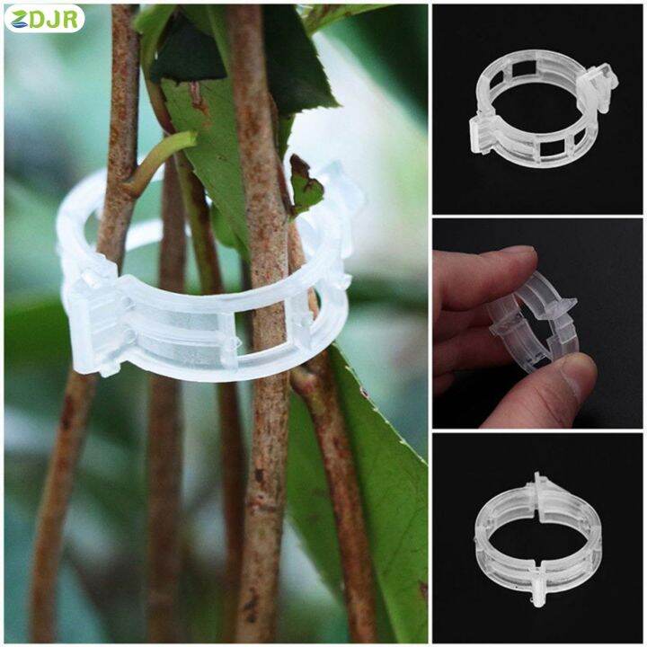 zdjr-คลิปพืชมีสีขาวทนทานคลิปสวนช่วยให้ผักองุ่น-grow-ตั้งตรง