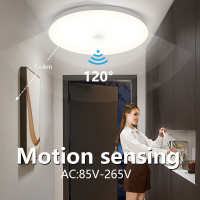 PIR Motion Sensor โคมไฟเพดาน LED ที่ทันสมัย110V 220V ไฟบันไดทางเดิน