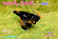 Dx ไดโนเสาร์ดำ แปลงร่าง ขบวนการ5สี  (ของแท้)