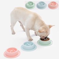 Pet slow food bowl cat bowl slow food bowl anti-choking non-slip dog bowl single dog bowl plastic small and medium-sized dog