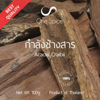 Onespice กำลังช้างสาร 100 กรัม (1 ขีด) | สมุนไพร | Dried Acacia Craibii | One Spice