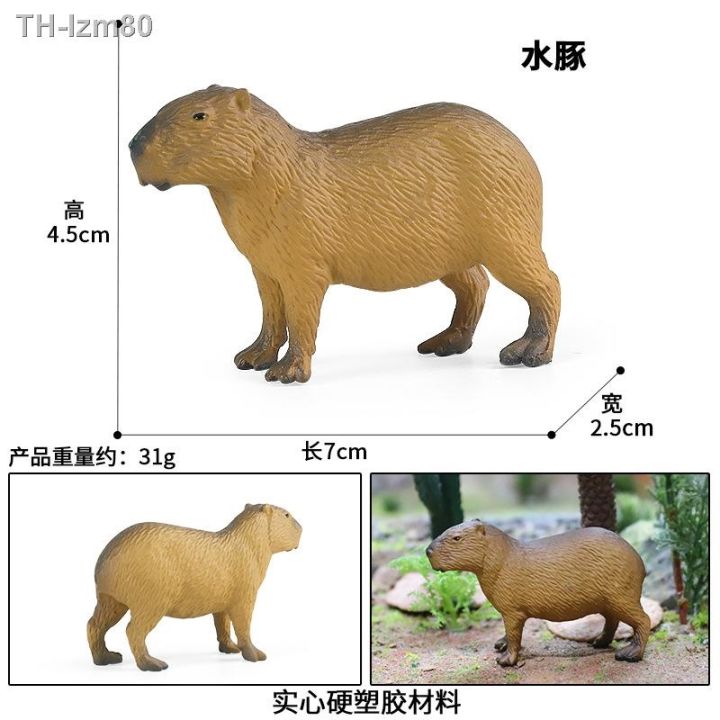 ของขวัญ-เด็กของเล่นจำลองสัตว์ป่ารุ่น-capybara-หนูปลาแมนดารินง้างปากปลาแมนดารินเครื่องประดับความรู้ความเข้าใจ