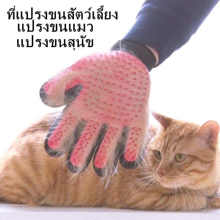 ถุงมือ-หวีขนแมว-ถุงมือแปรงขนแมว-ถุงมือผ้า-แปรงขนแมว-ถุงมือแมว-ถุงมือรูดขน-ถุงมือแปรงขน