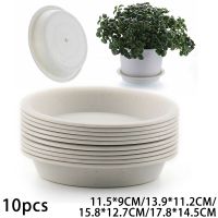 【hot】❣◆✠  10pcs Round Succulent Pot Trays Saucer Tray Flat-Side Watering Flowerpot Base