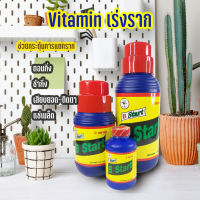 ส่งใว Bstar Vitamin B1 ผสมเกสร เร่งราก+แตกรากเร็ว+เยอะ แก้ปัญหาย้ายไม้แล้วต้นเหี่ยว