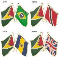 10pcs a lot Guyana Friendship Flag Badge Lapel Pin Brooch Fashion Brooches Pins