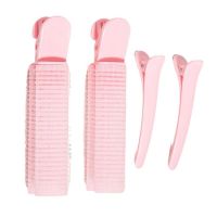 【CW】 Hair Rollers Volumizing Root Clip Top Styling Curling Hairdressing Accessories And Short