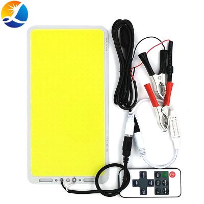 220x113mm 100W 12V LED Light COB Panel with Dimmer Remote Control Dimmable LED Lamp Indoor Outdoor Lighting DIY White Color