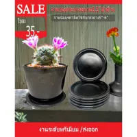 จานรองเอนกประสงค์5.5ขาวครีม&amp;ดำด้าน