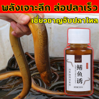 หัวเชื้อตกปลาไหลนา 100ml ล่อปลาไหล ดึงดูดปลา ล่อปลาอย่างรวดเร็ว จับปลาไหลเร็ว สำหรับปลาไหล สิ่งล่อใจที่แข็งแกร่ง รวมเหยื่อล่อแ เหยื่อตกปลา อาหารตกปลา เหยื่อตกปลาหน้าดิน อาหารตกปลา จับปลาง่าย เต็มไปด้วยการตกปลา