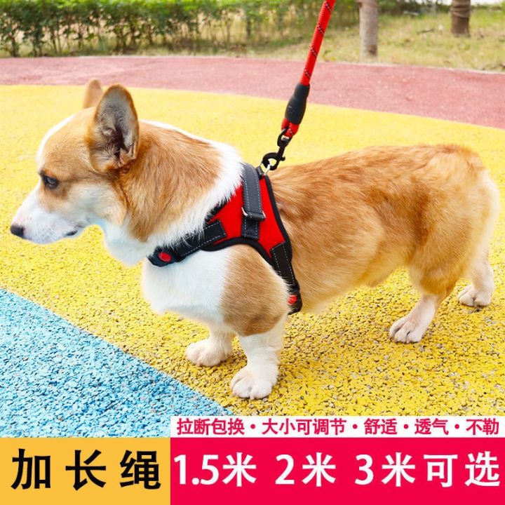 สายจูงสุนัขยาว-2-เมตร-ยาว-3-เมตร-เชือกจูงสุนัขแบบยืดหดได้-teddy-corgi-โซ่สุนัขขนาดใหญ่ขนาดเล็ก